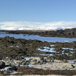 Photo taken by Lynn H