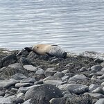 Photo taken by Jennifer R