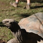 Photo taken by Nicholas P