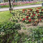 Photo taken by Shanthi V