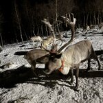 Photo taken by Ashley K