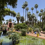 Photo taken by Vivianh H