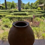 Photo taken by Donna R