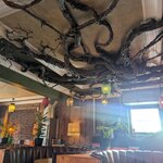 Photo taken by Sarina H