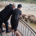 Photo taken by Tanya G