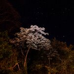 Photo taken by Wilbert A