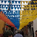 Photo taken by Martha V