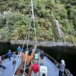 Photo taken by Lisa S