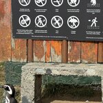 Photo taken by Rob G