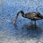 Photo taken by Lisa S