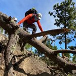 Photo taken by Daisy B