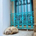 Photo taken by Kris C