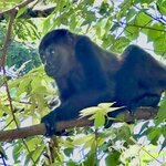 Photo taken by Cindy R