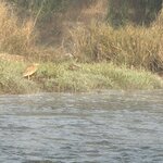 Photo taken by Meenakshi B