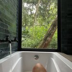 Photo taken by Lisa T