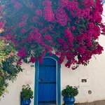 Photo taken by Laura H