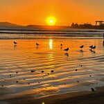 Photo taken by Raelene S