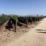 Photo taken by Rebecca E