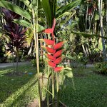 Photo taken by christy l