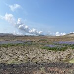 Photo taken by Brian W