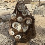 Photo taken by Ken Y