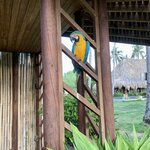 Photo taken by Erin K