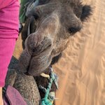 Photo taken by Beth M