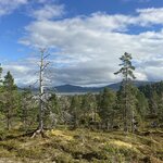 Photo taken by Eric J