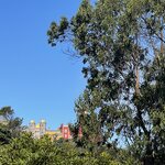 Photo taken by Kaisha S