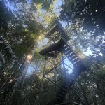 Photo taken by Thomas R