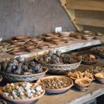 Photo taken by Savana H