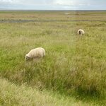 Photo taken by Lisa A