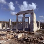 Photo taken by Margy C