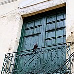 Photo taken by Linda M