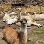 Photo taken by Agni K