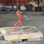 Photo taken by John S