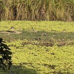 Photo taken by Meenakshi B