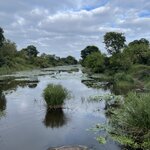 Photo taken by Jeanine B