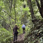 Photo taken by Colin M