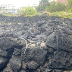 Photo taken by Jessica S