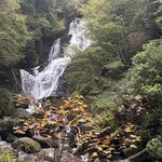 Photo taken by Ellen D