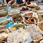 Photo taken by Nima P