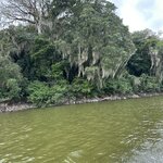 Photo taken by Solomon F