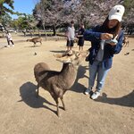 Photo taken by Judith W