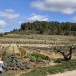 Photo taken by Susan M