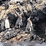 Photo taken by Meggan M