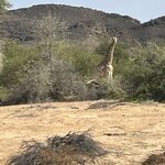 Photo taken by Nigel R