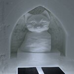 Photo taken by Ellyn V