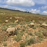 Photo taken by Allison O