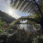 Photo taken by Mary B